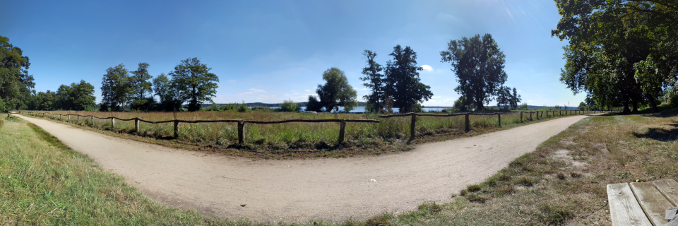 Panoramabild eines Spazierwegs in Berlin-Gatow, im Hintergrund die Havel